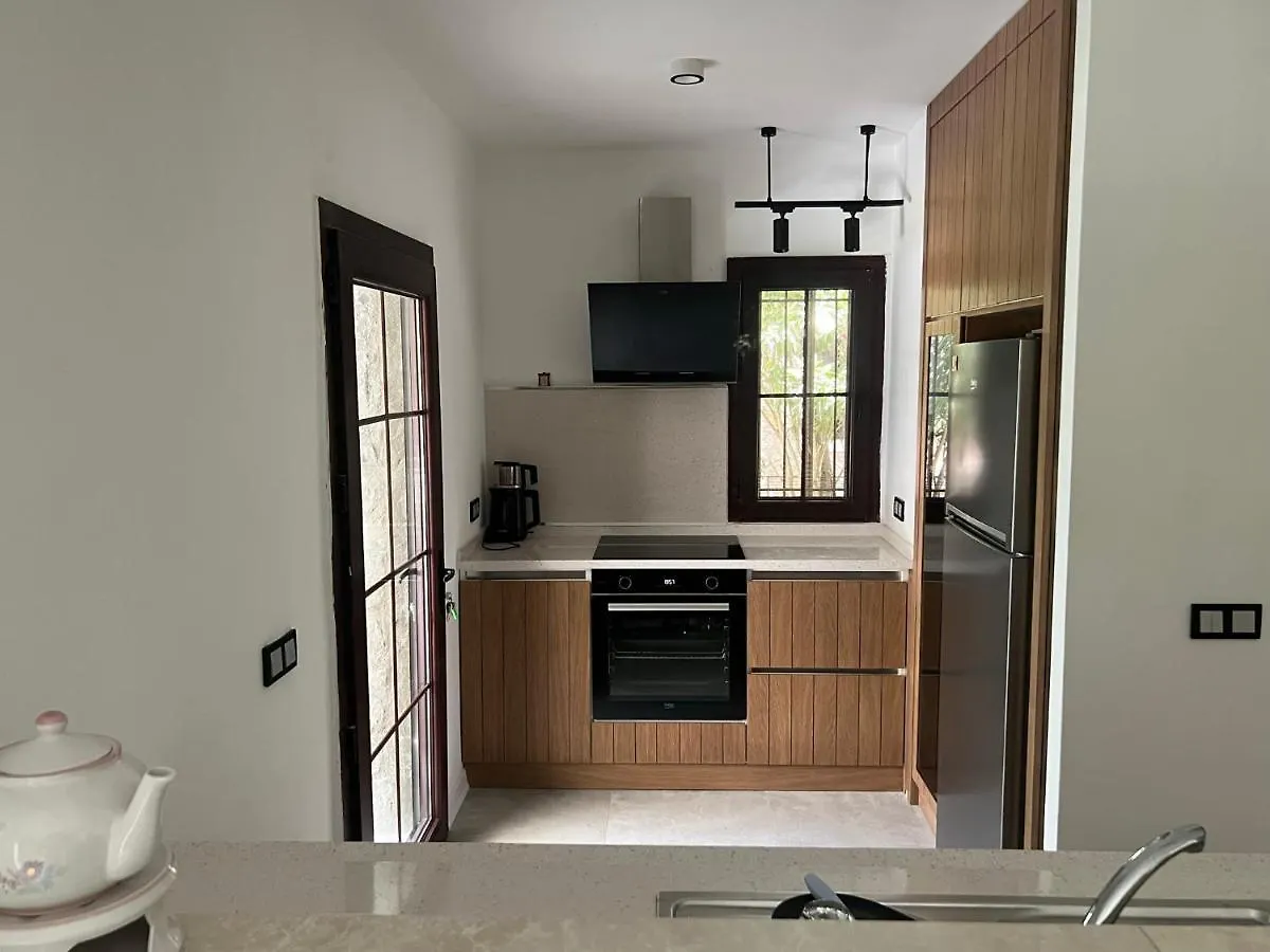 Oludeniz Luxury Villa With Jacuzzi, Common Pool Fethiye